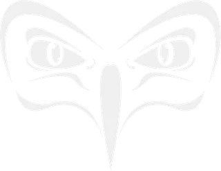 Im_The_Owl