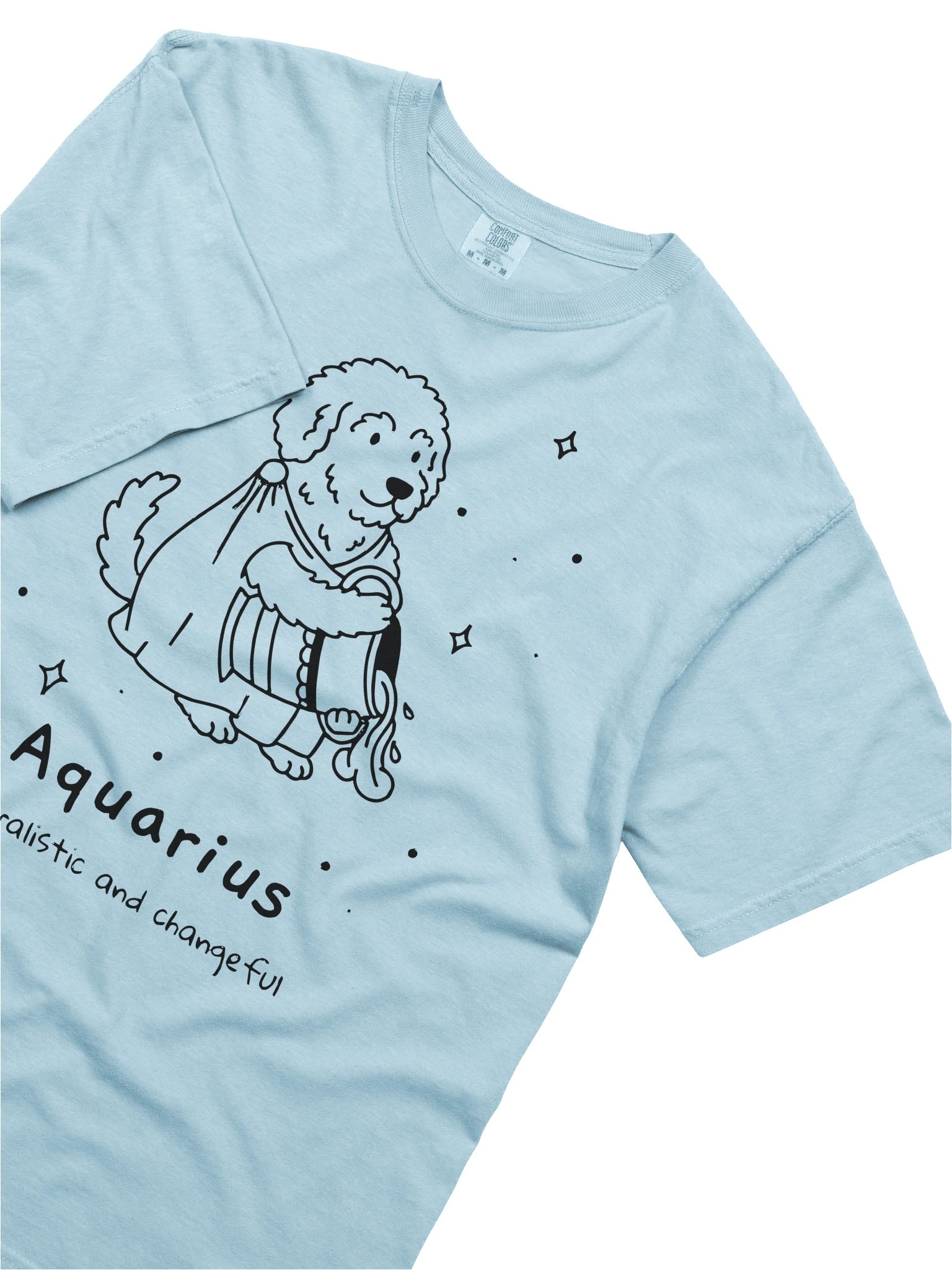 Aquarius Doodle Dog Comfort Colors Garment-Dyed Heavyweight T-Shirt product image (25)