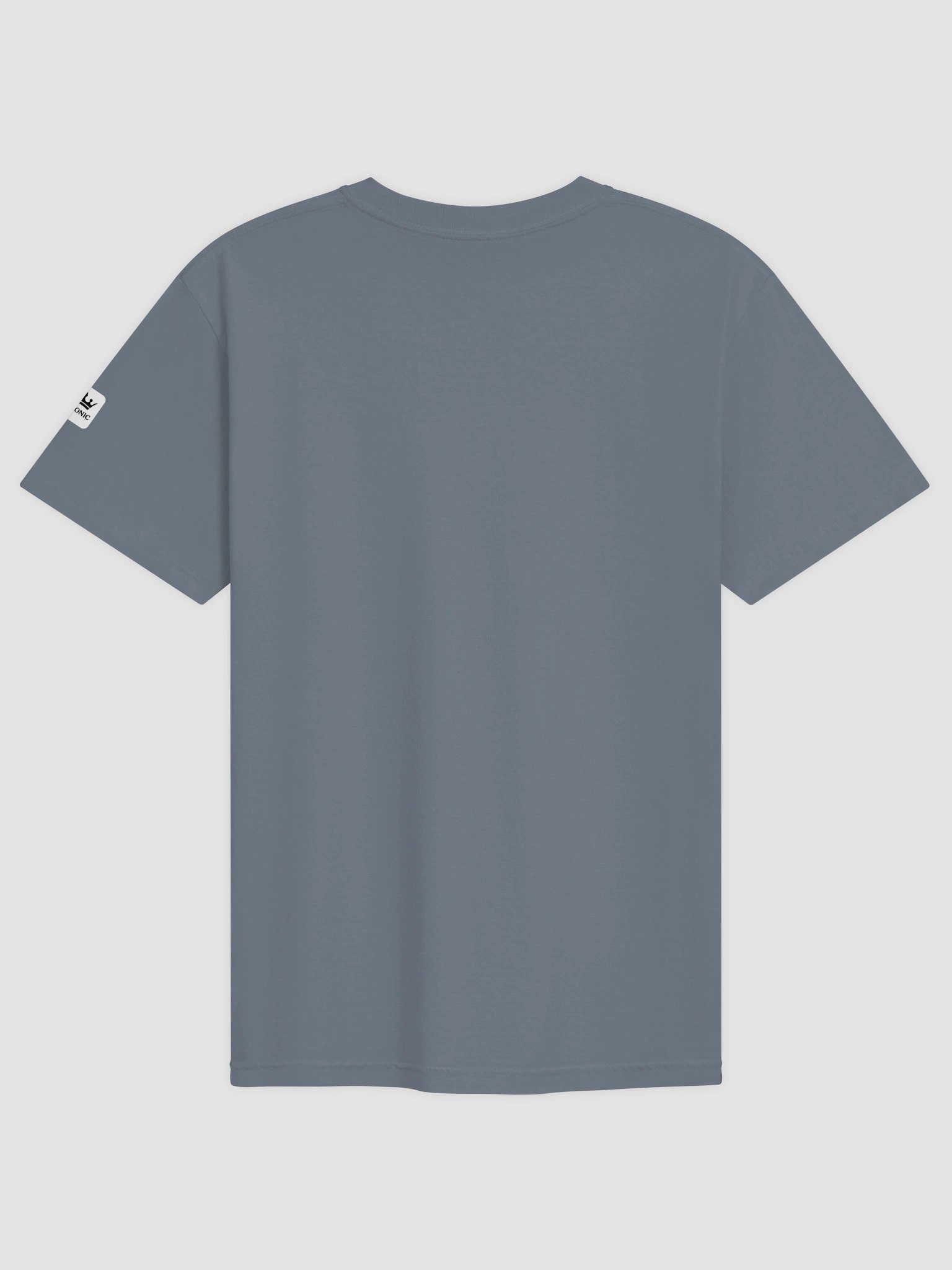 C² ICONIC | SWAG Heavyweight Graphic Tee product image (2)