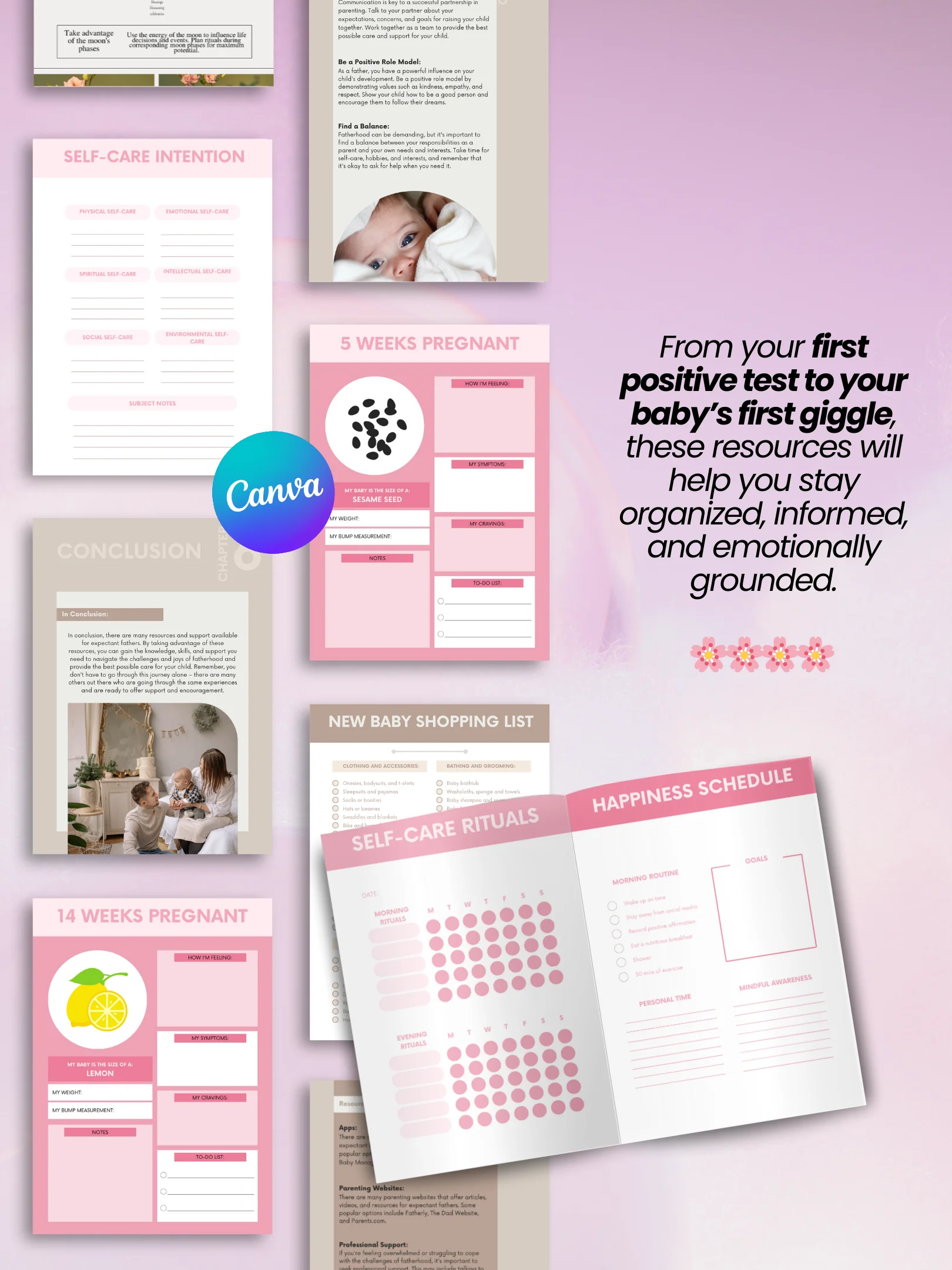 Pregnancy eBook Bundle | 7 Digital Products for New Moms | MRR PLR Bundle product image (3)