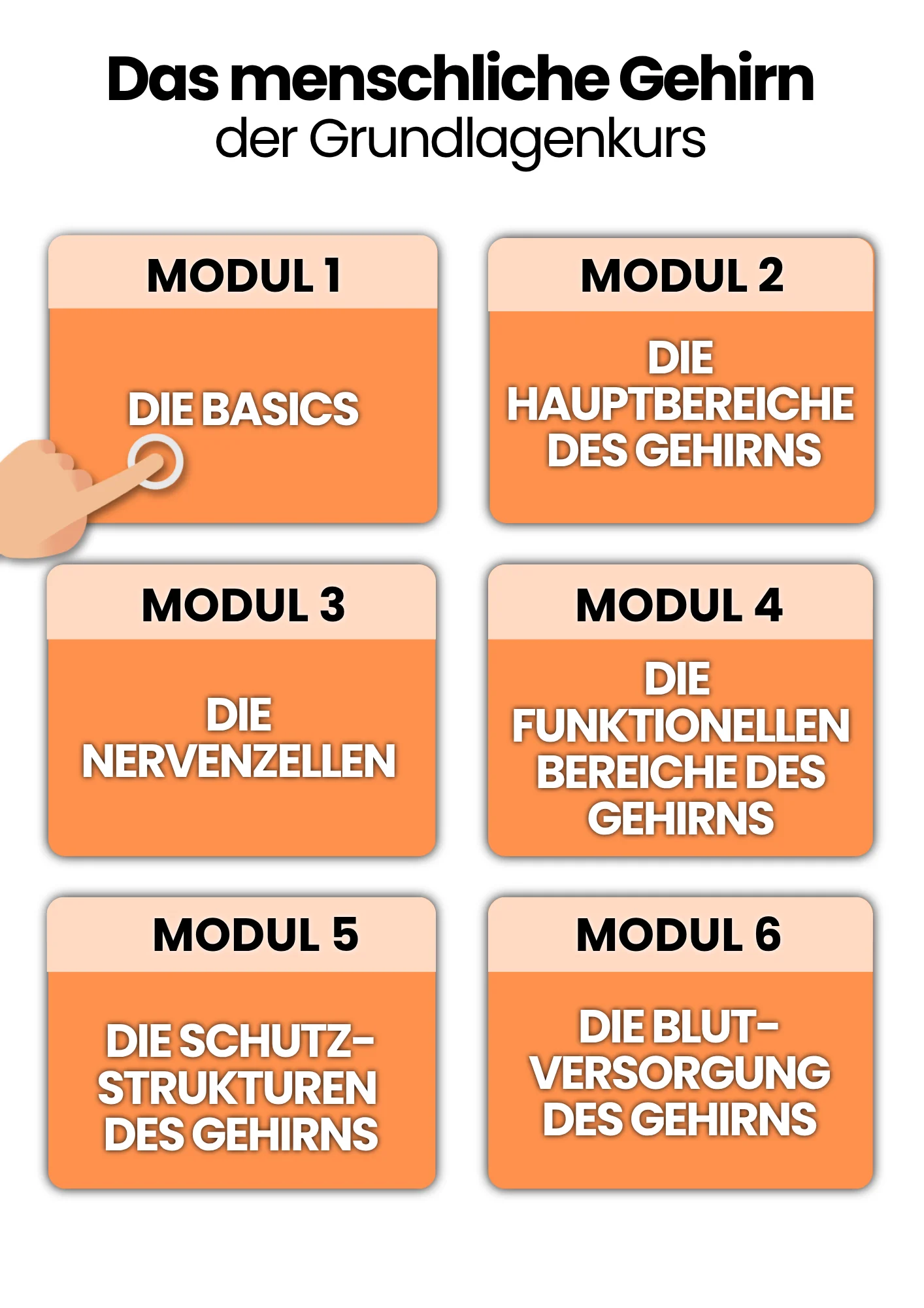 Das Gehirn | der Grundlagenkurs product image (2)
