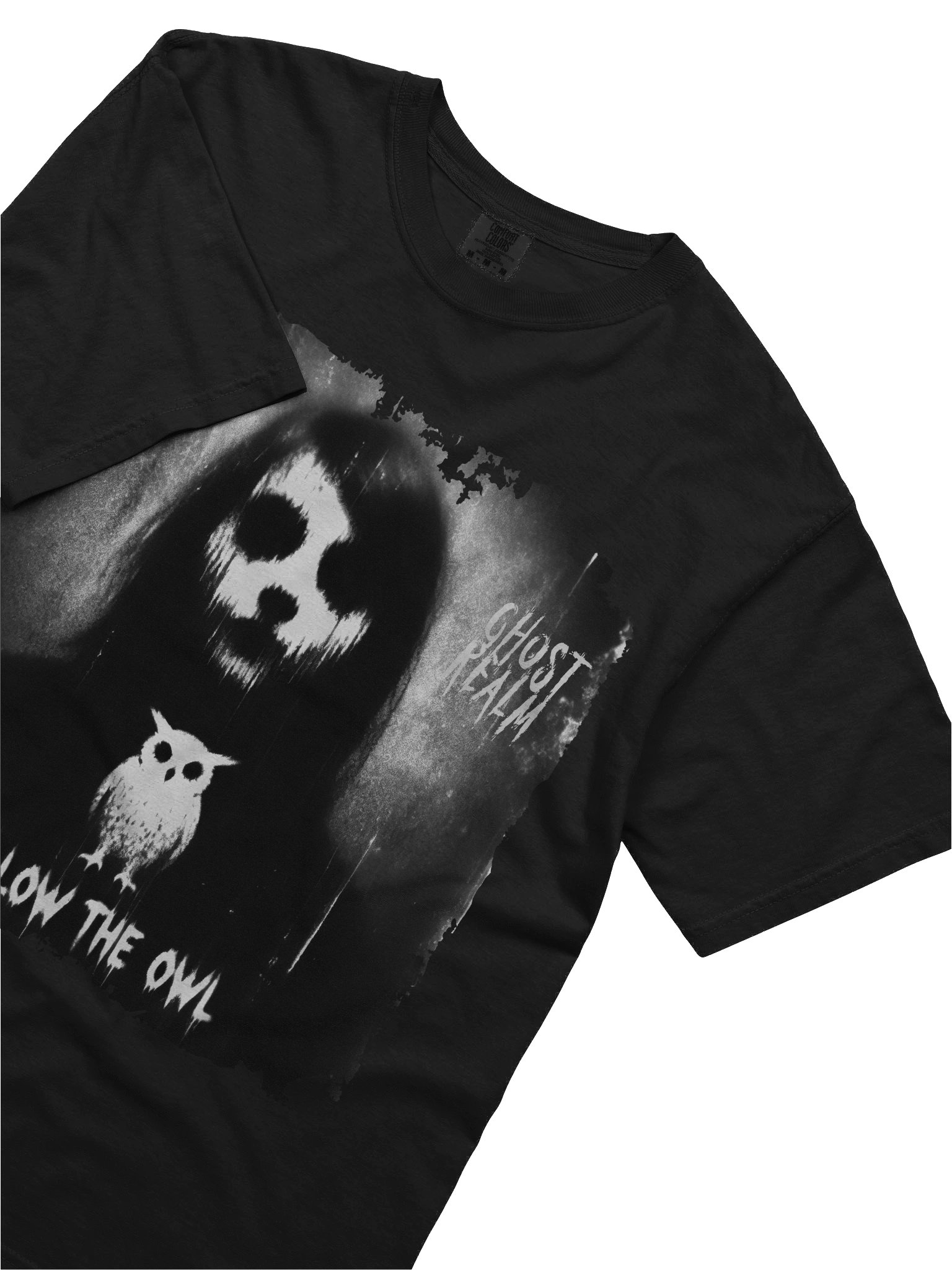 GHOST REALM | FOLLOW THE OWL | 1st Edition product image (5)