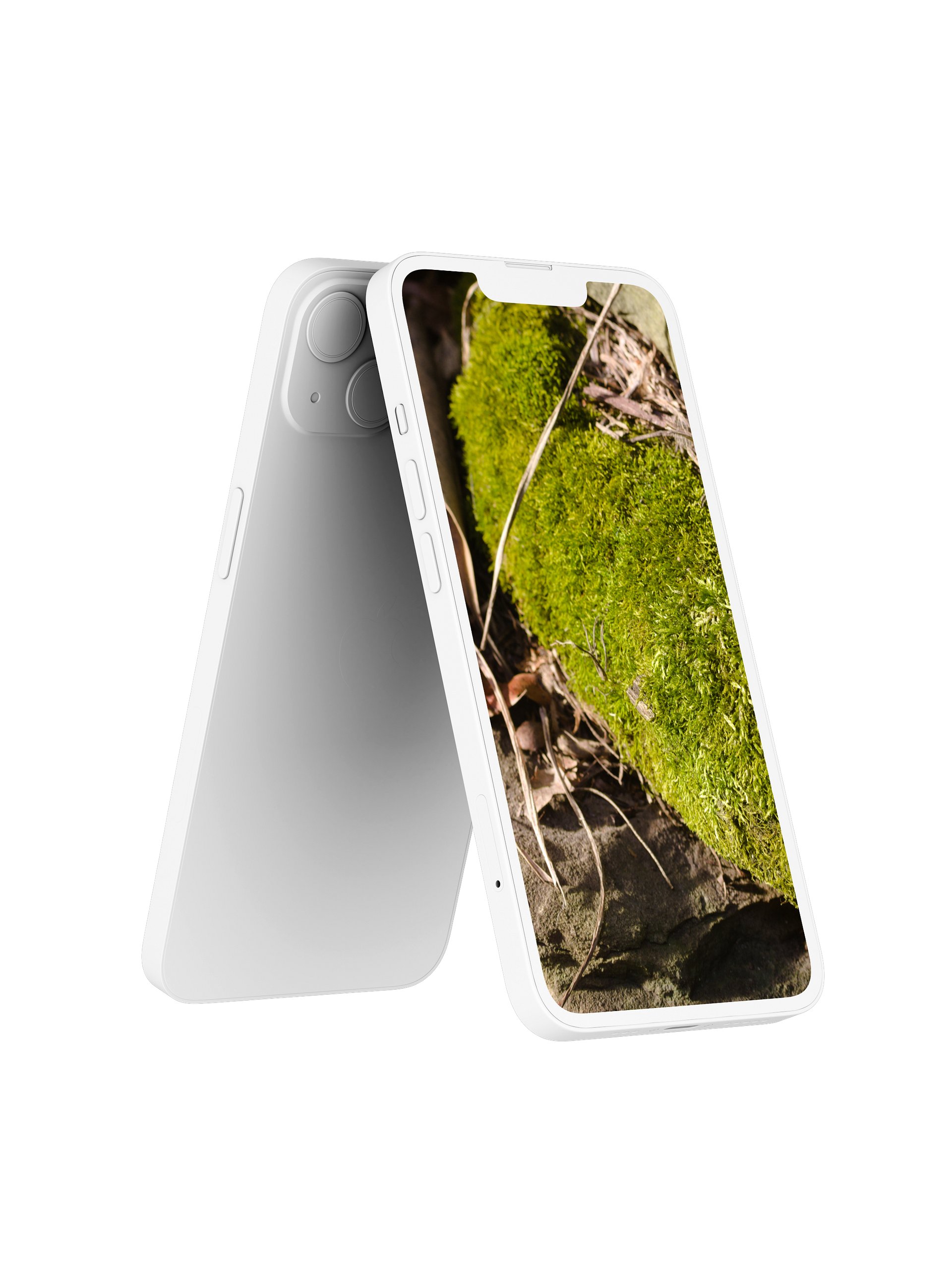 Moss on the Rocks Digital Wallpaper Set product image (2)