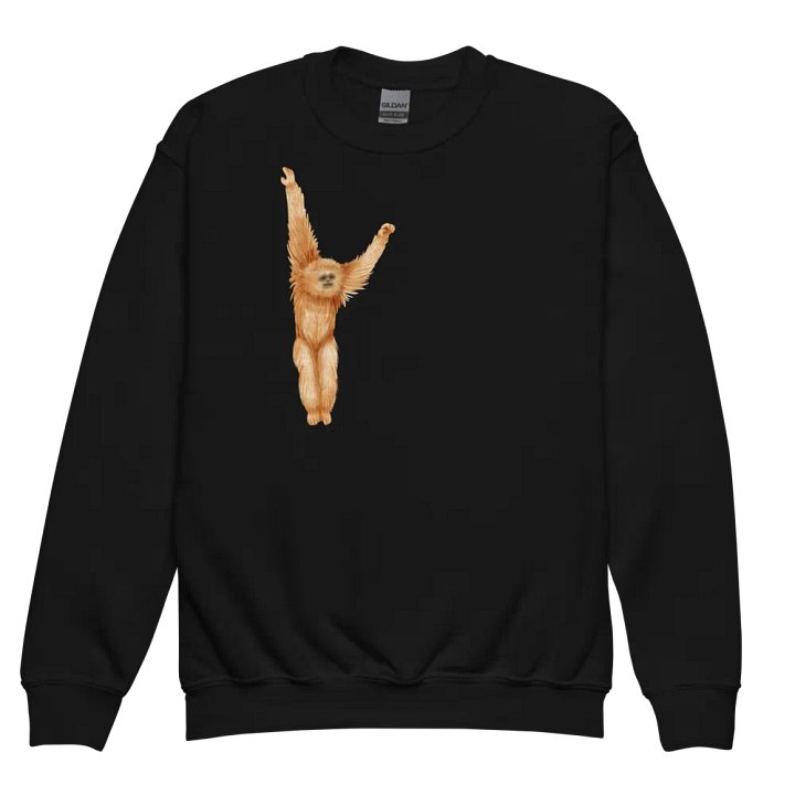 Primate Elevation Youth Sweatshirt product image (7)