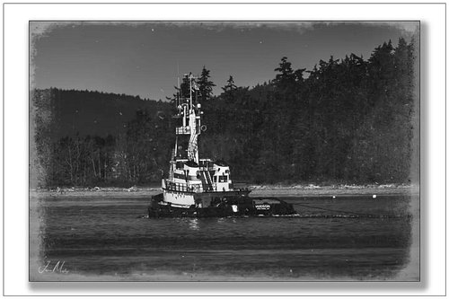 Tug Hudson in Guemes Channel in black and white with that aged texture treatment. Looks like it was shot a century ago.
Www.j...