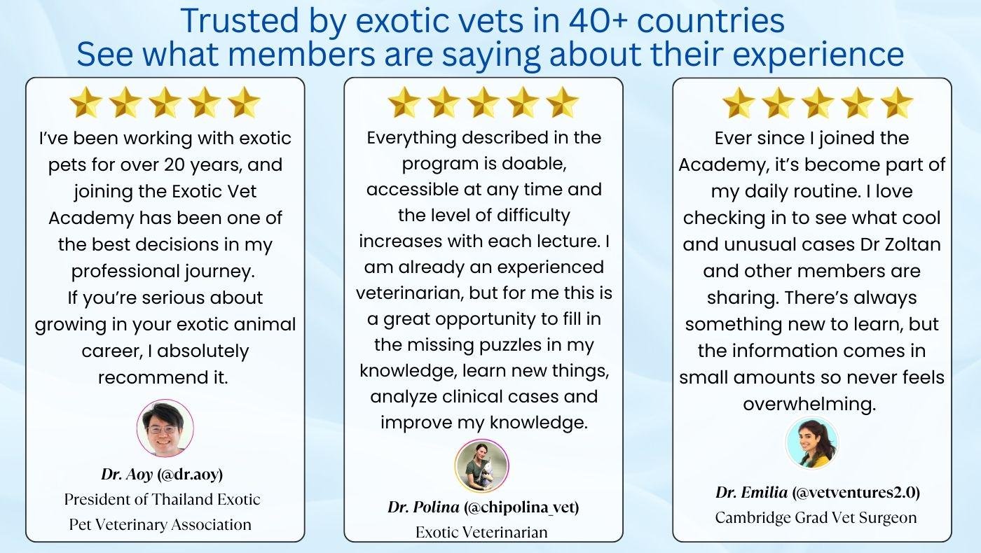 Exotic Veterinary Academy product image (2)