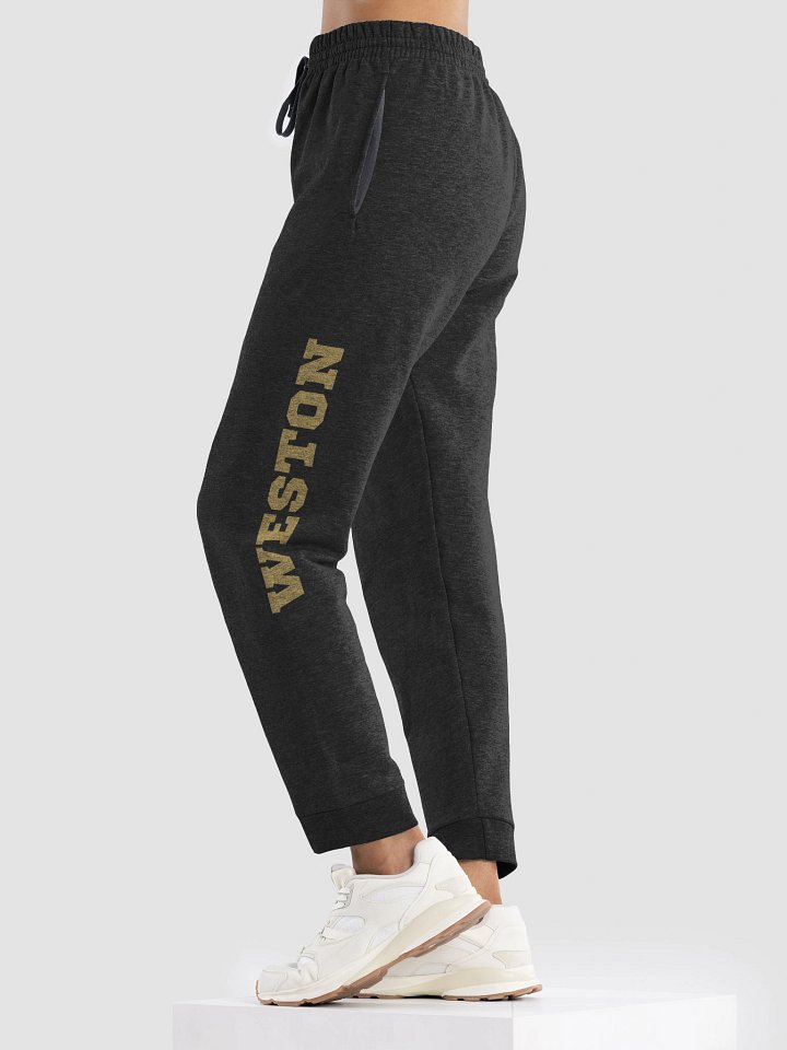 Weston Academy Joggers product image (2)