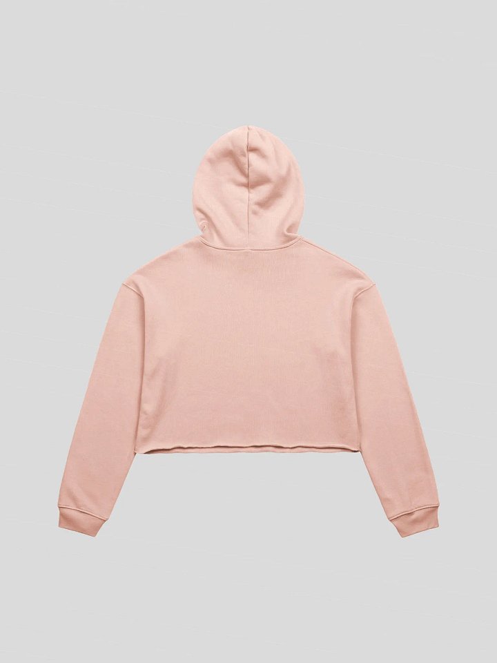 AVAG cropped hoodie product image (8)