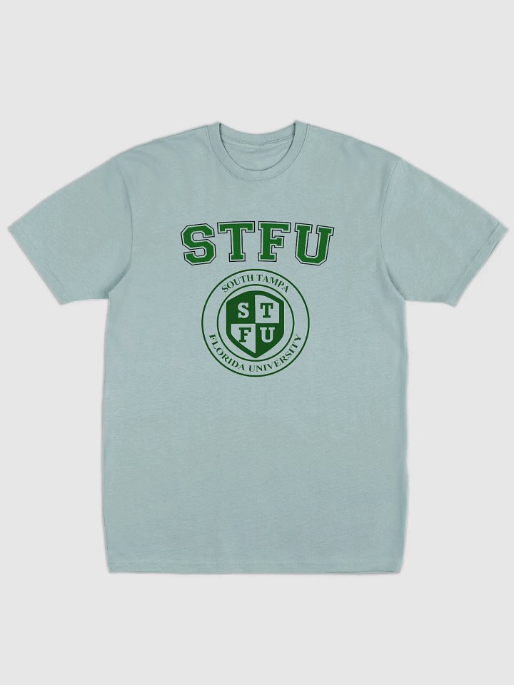 STFU Men's Premium Heavyweight Tee / Light Colors product image (1)