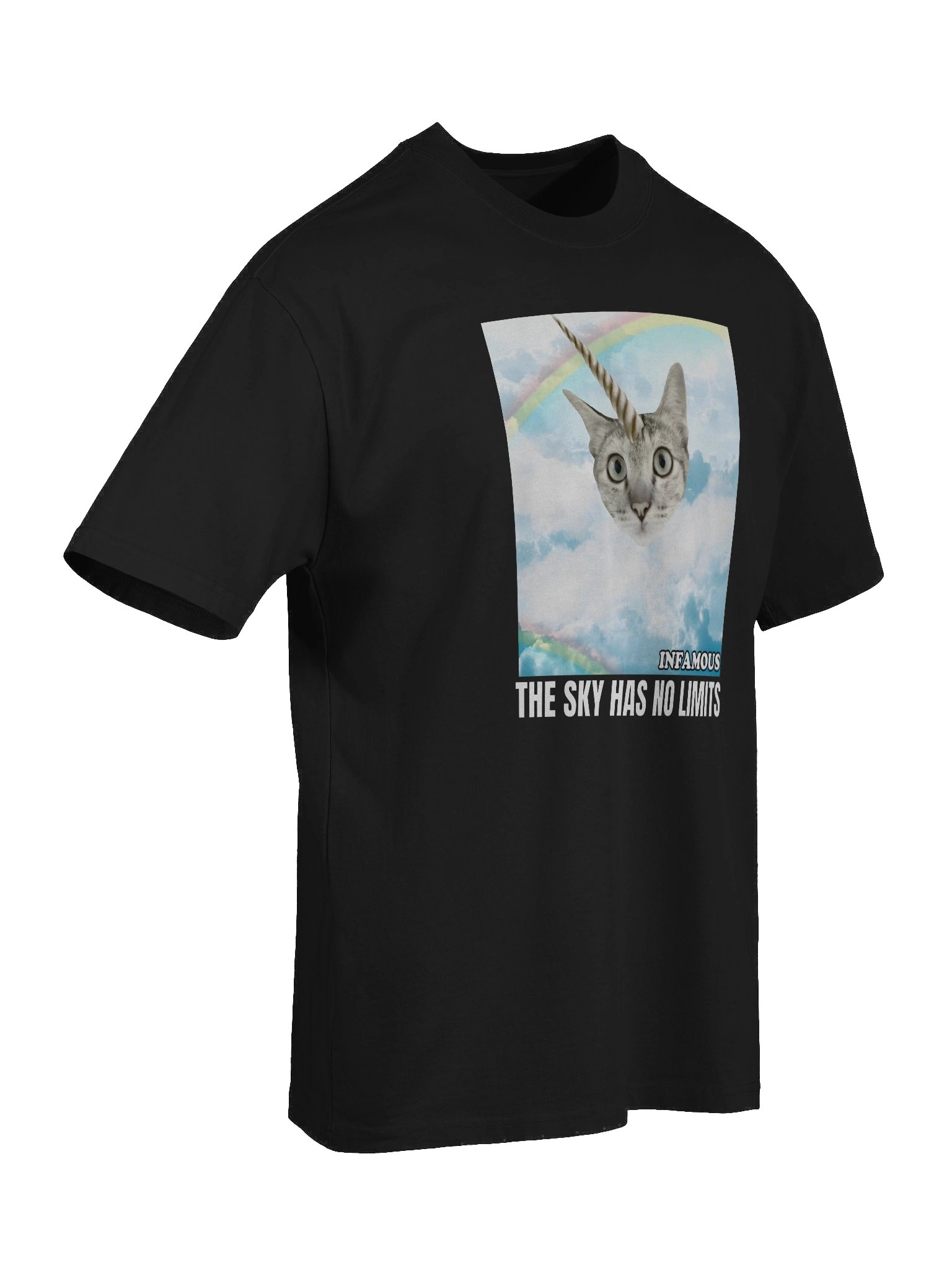 The Sky Has No Limits Oversized Tee - BLACK product image (7)