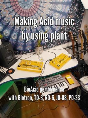 🪴From organic electrical activity to Acid basslines 🙂 In this experiment, I’m using a plant connected to Biotron by Playtronica to generate musical notes, sending the signals through MIDI cables into the Behringer TD-3, evolving into a live jam with the RD-6 drum machine, Roland JD-08 synth, and PO-33. I call this sound BioAcid, a meeting point between biology, experimental electronics, acid techno and live hardware improvisation. 🎛️ Gear used Sansevieria Plant Biotron by Playtronica Behringer TD-3 Roland JD-08 Teenage Engineering PO-33 #bioacid #playtronica #biotron #plantmusic #plantmidi #acidtechno #acidhouse #tb303 #td3 #behringertd3 #rd6 #rolandjd08 #po33 #pocketoperator #hardwarejam #liveelectronics #livejam #experimentalmusic #electronicmusic #midi #synthesizer #drummachine #generativemusic #soundexperiment #electronicexperiment #musictechnology #organicelectronics #biologico #teenageengineering #303bassline