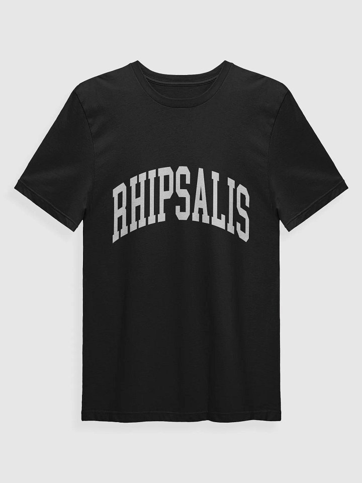 RHIPSALIS VARSITY - Supersoft T-Shirt product image (1)