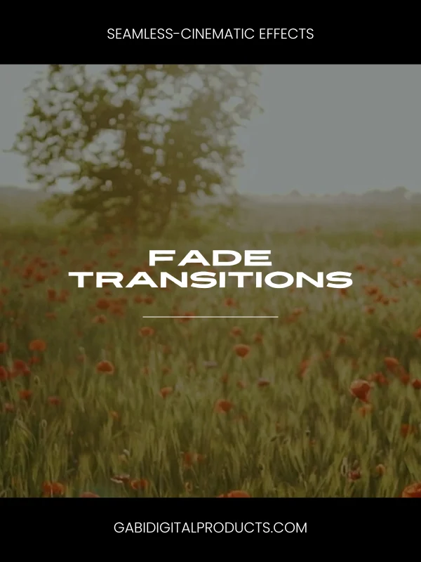 MRR/PLR Premiere SEAMLESS Transitions product image (7)