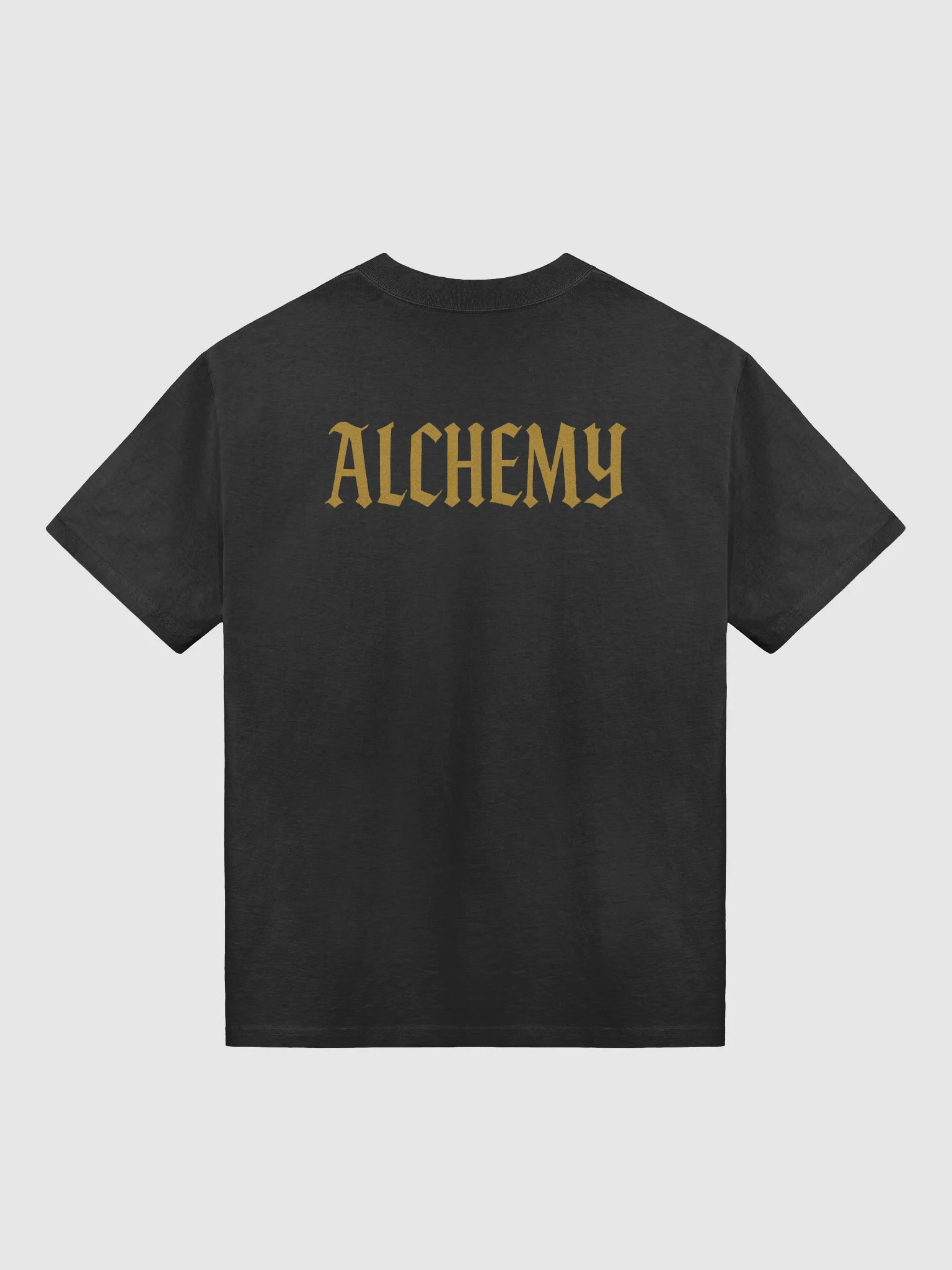 Ancient Life Oversized Tee product image (2)
