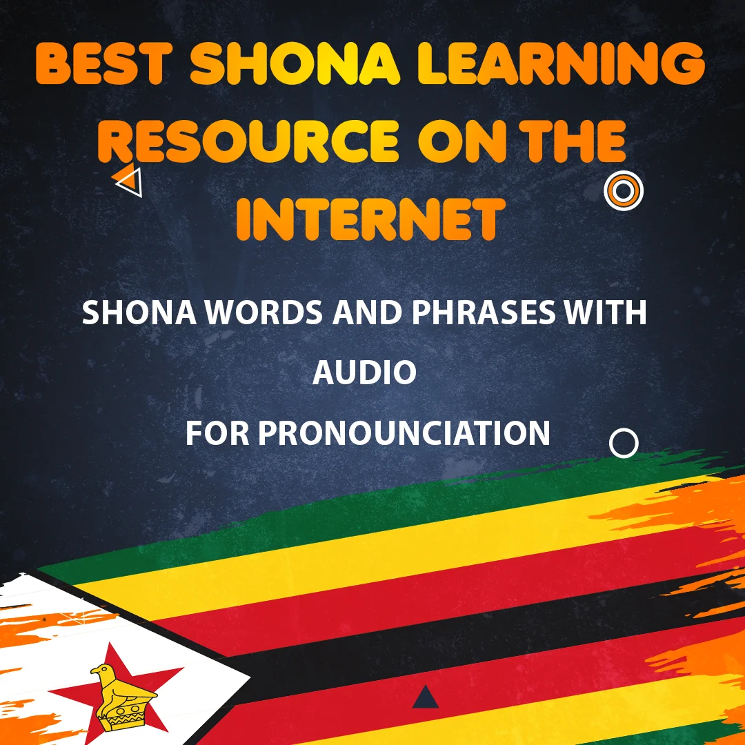 Shona Starter Pack: English–Shona Phrasebook + Audio & Flashcards product image (4)
