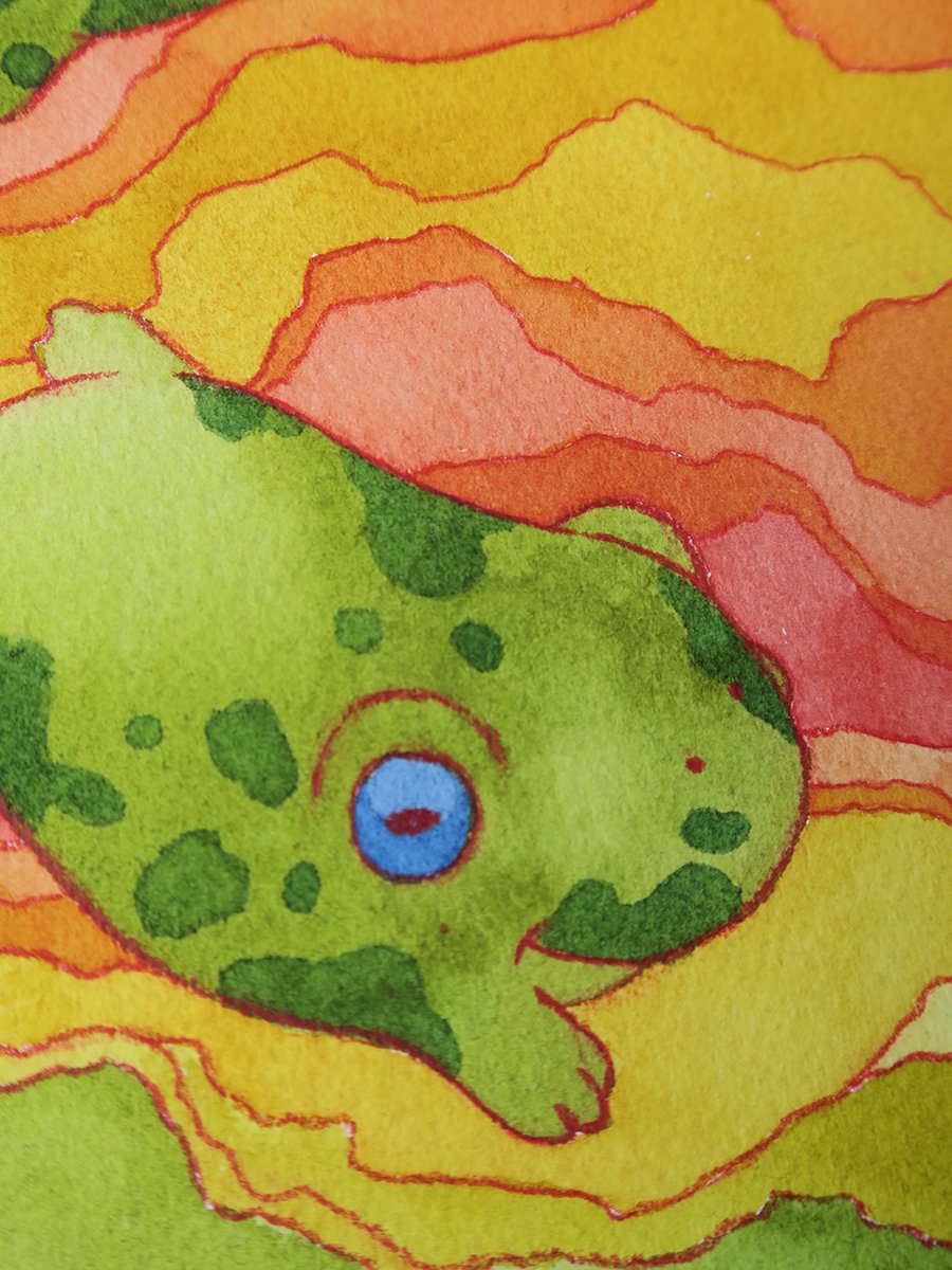 original artwork : trippy frogs product image (3)