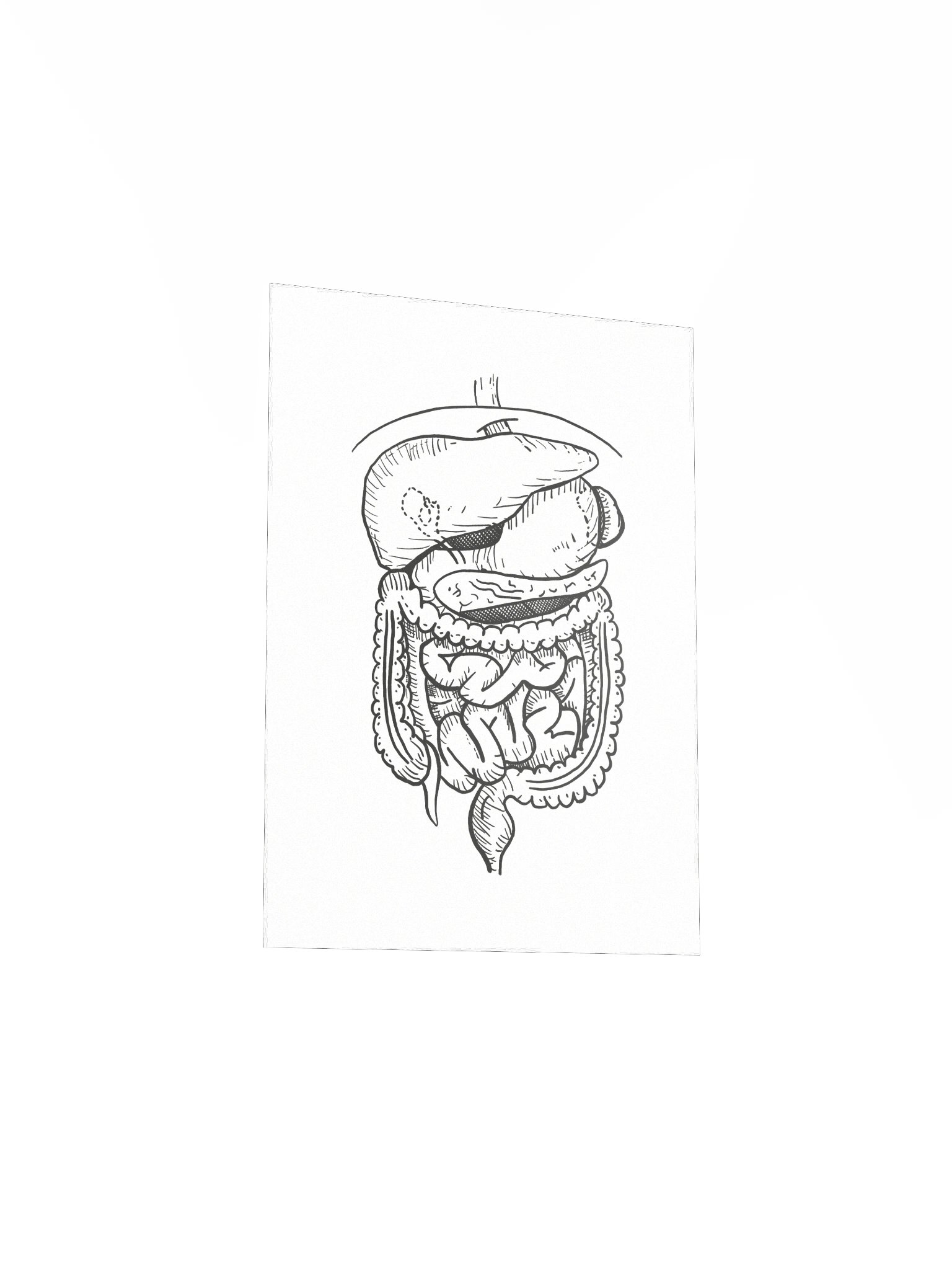 GI Tract Matte Poster product image (16)