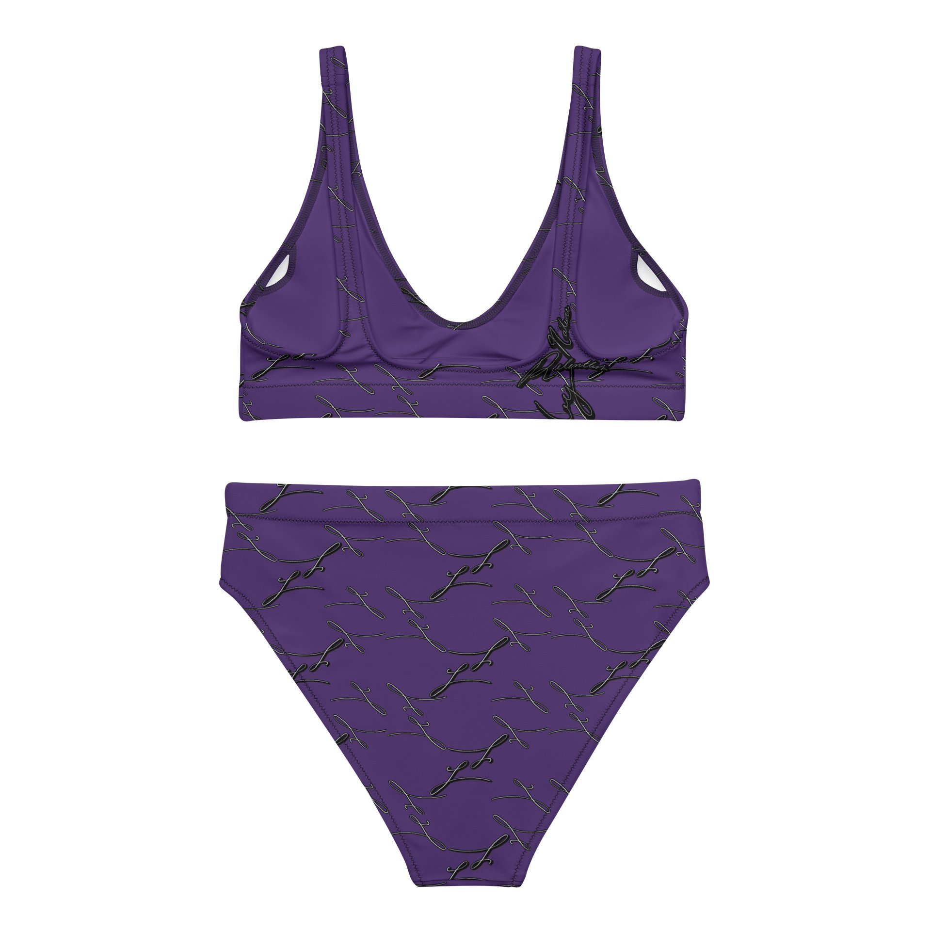 Purple Noir | High Waisted Bikini product image (3)