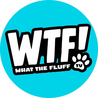 What The Fluff TV