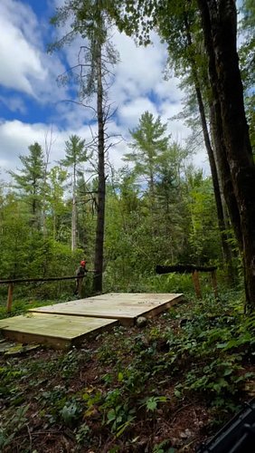 At FVW we love our trees, but we also know when it’s time to bring them down for safety and to let us grow. This big guy wasn...