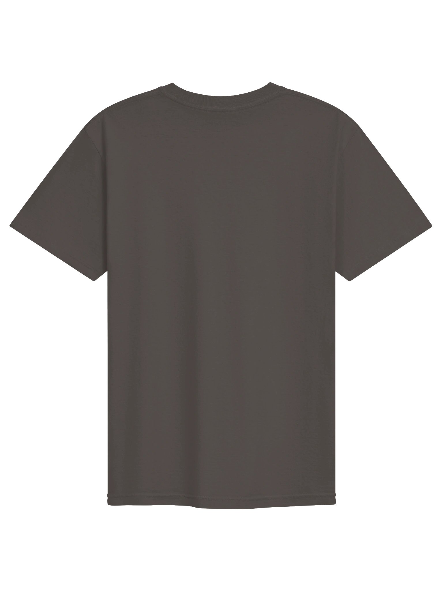 #SWAG Y2K Heavyweight Tee product image (2)