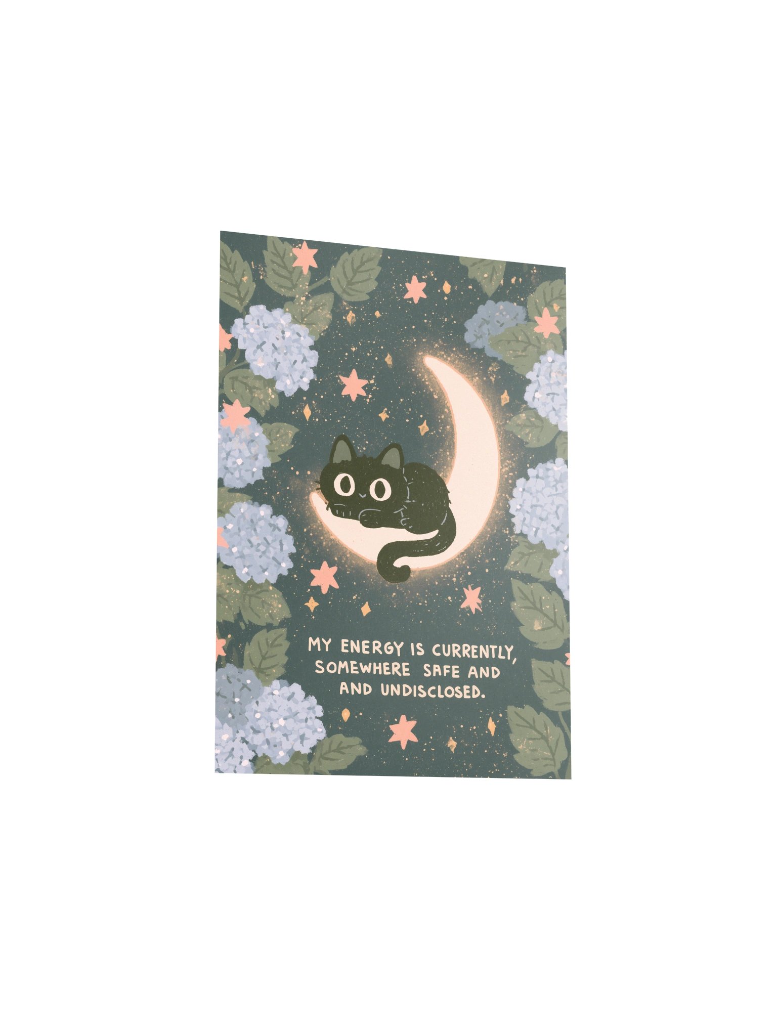 Safe & Undisclosed Cat Moon Poster product image (24)
