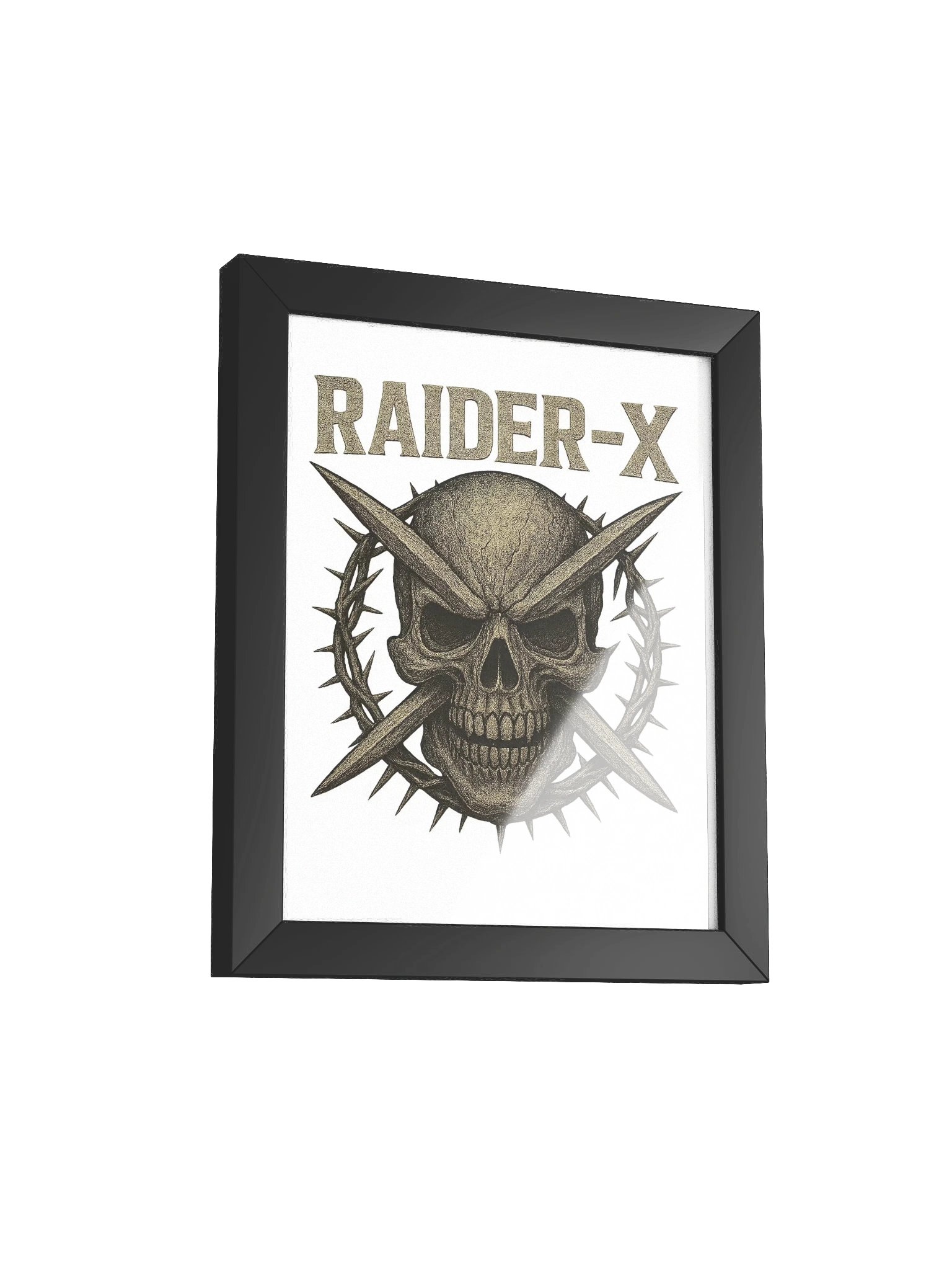 Raider-X product image (9)