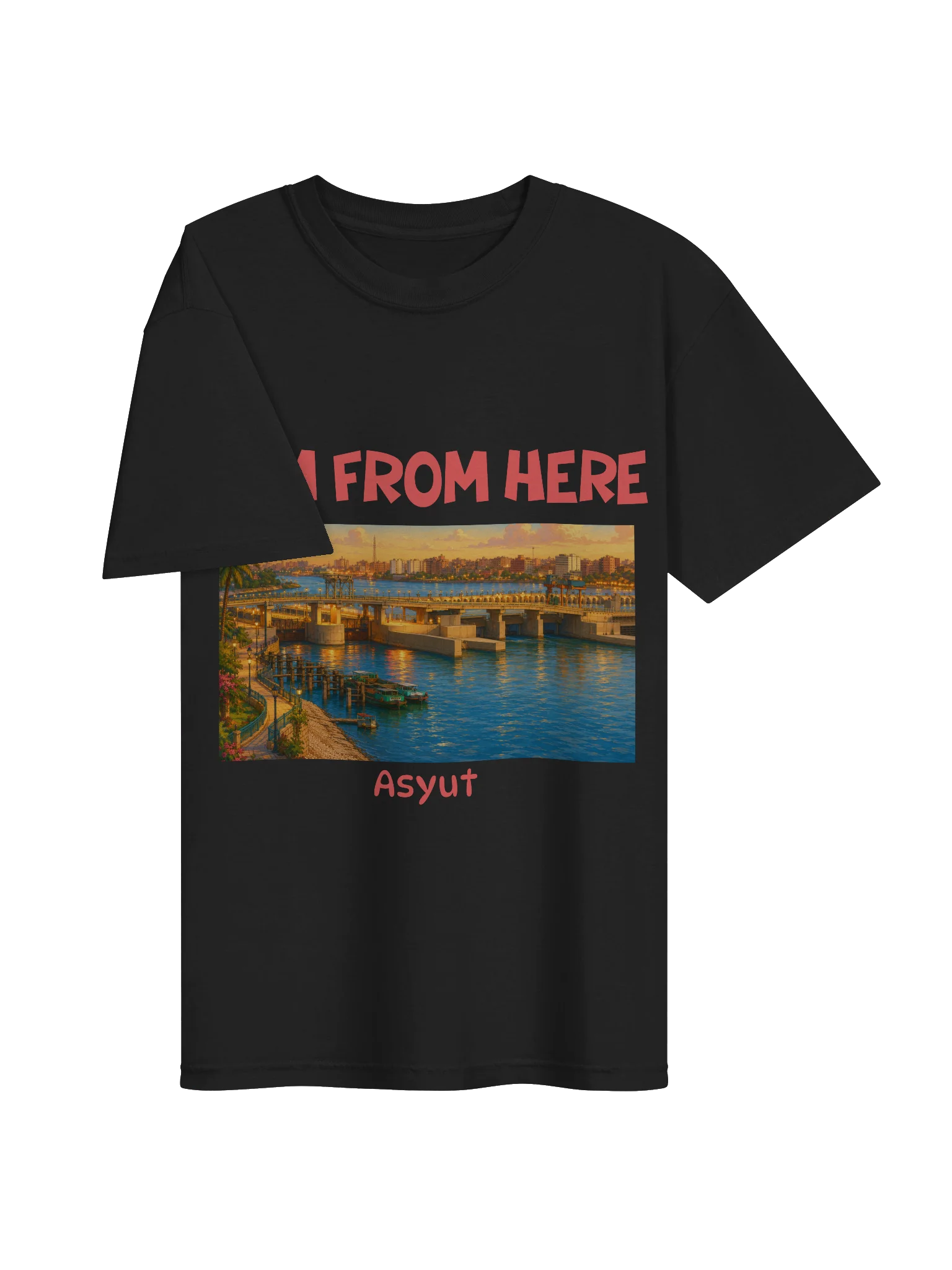 Asyut T-Shirt (Heavyweight Fabric) product image (3)