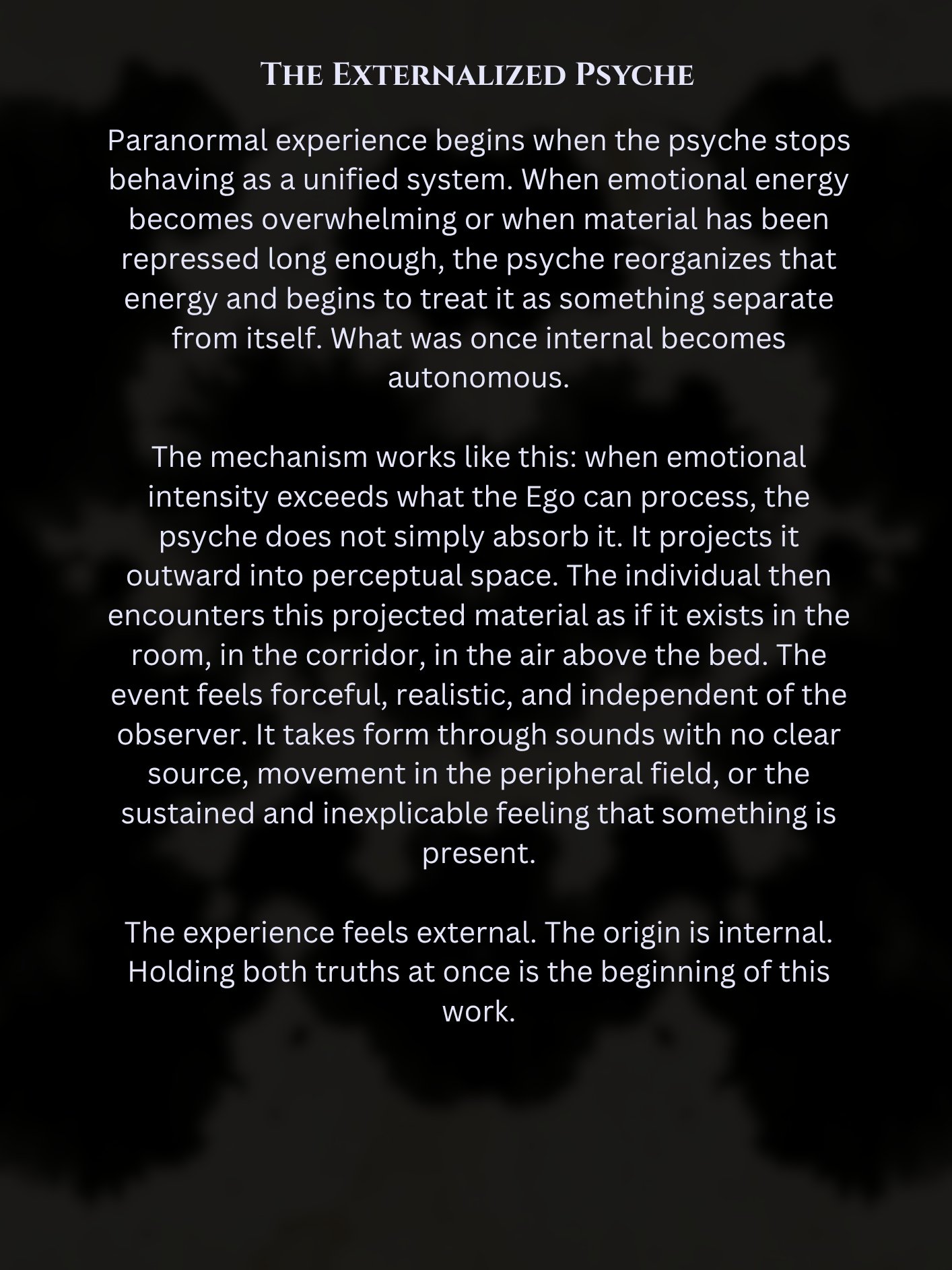 Phantasmagoric Logic: A Paranormal Containment System - Guide Only product image (5)