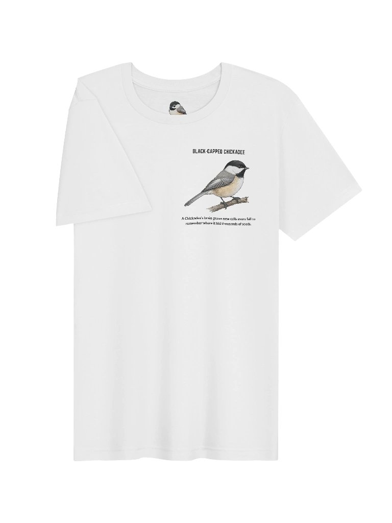 Black-capped Chickadee Tee product image (3)
