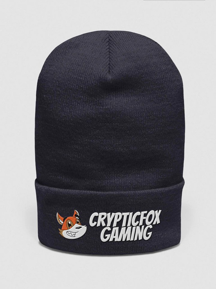 Cryptic Beanie product image (1)