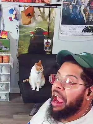 Chip is a Spoiled Cat! #catsoftiktok #funnycats #petlife #icedbone