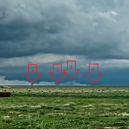 I think I may have broken my record of triplets this year! #cowx #tornado #storm #weather #nature
