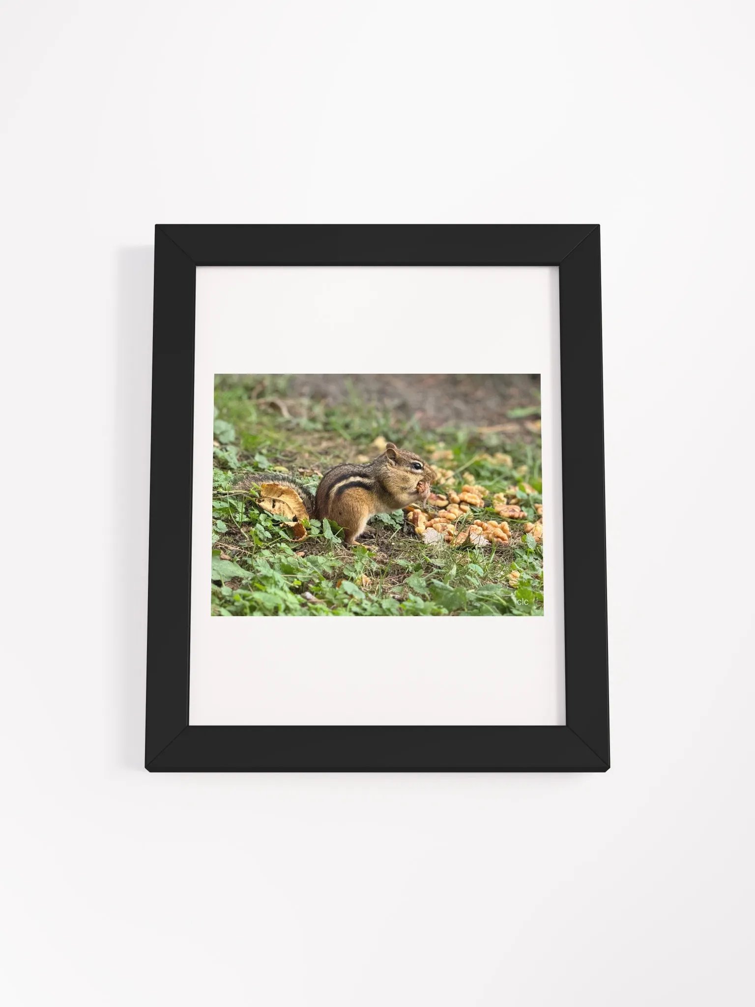 Chipmunk Delight Matte Poster product image (5)