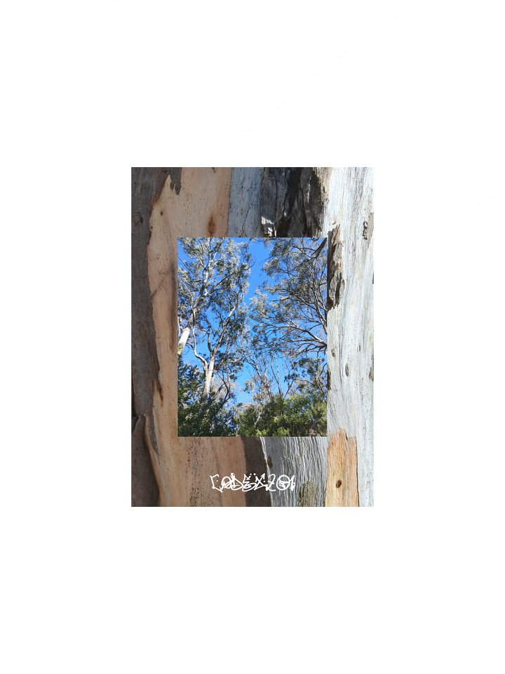 Bark on Bark product image (1)