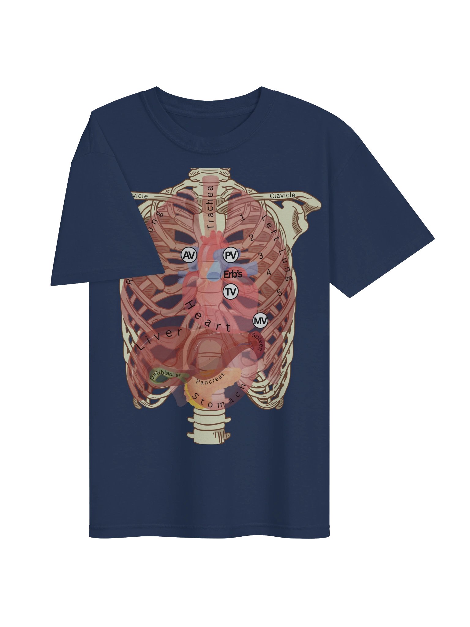 Heart Auscultation Points Anatomy Shirt | Internal Organs & Body Anatomy T-Shirt for Nursing Students by Nurse Sarah ® product image (29)