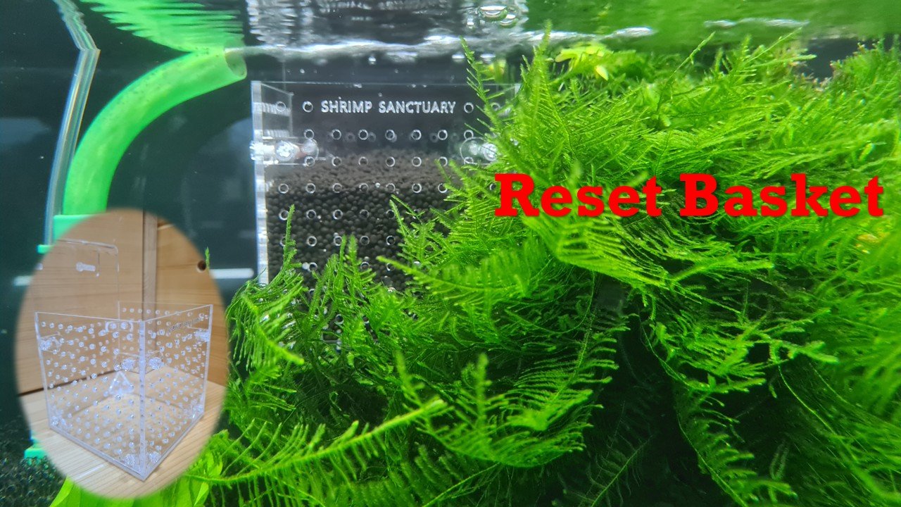 Reset Basket product image (4)