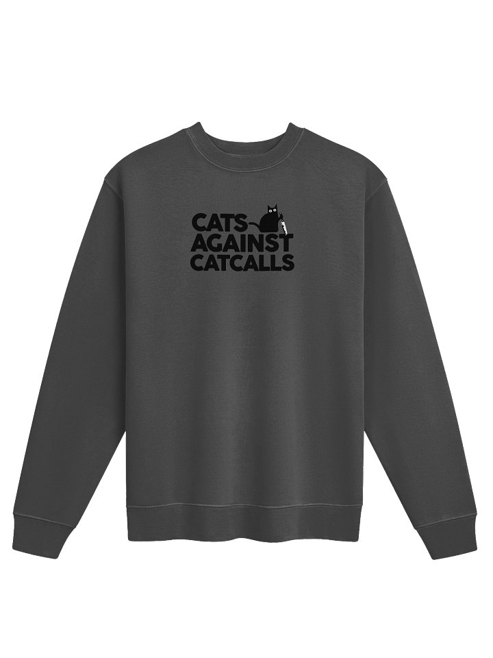 Cats Against Catcalls - Sweatshirt product image (7)