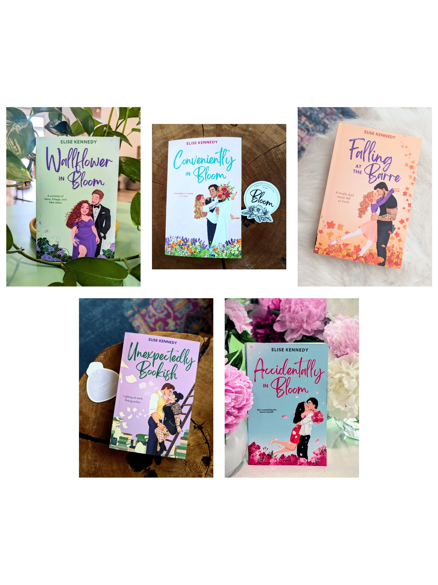 Fairwick Falls Paperback Bundle product image (1)