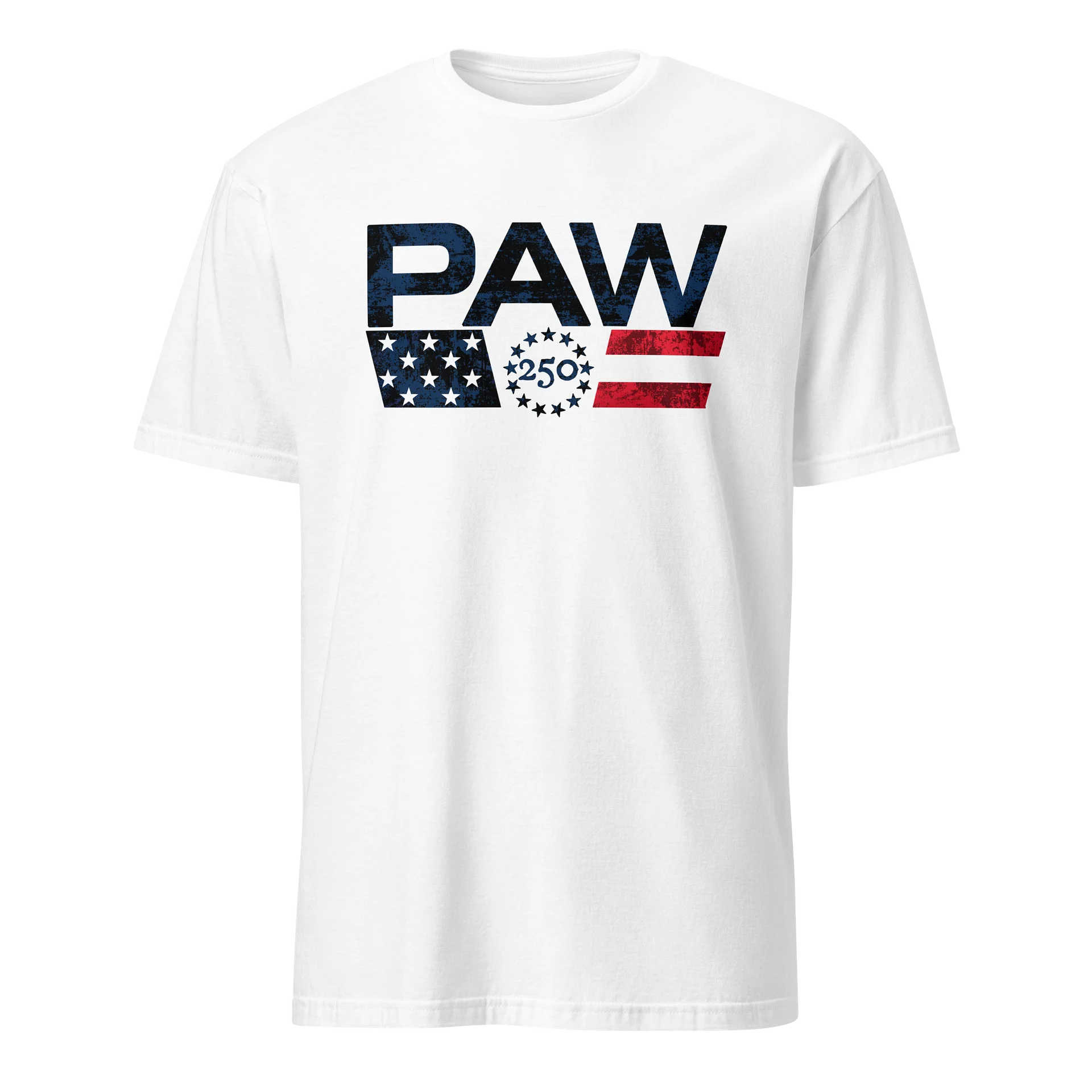 PAW 250 product image (22)