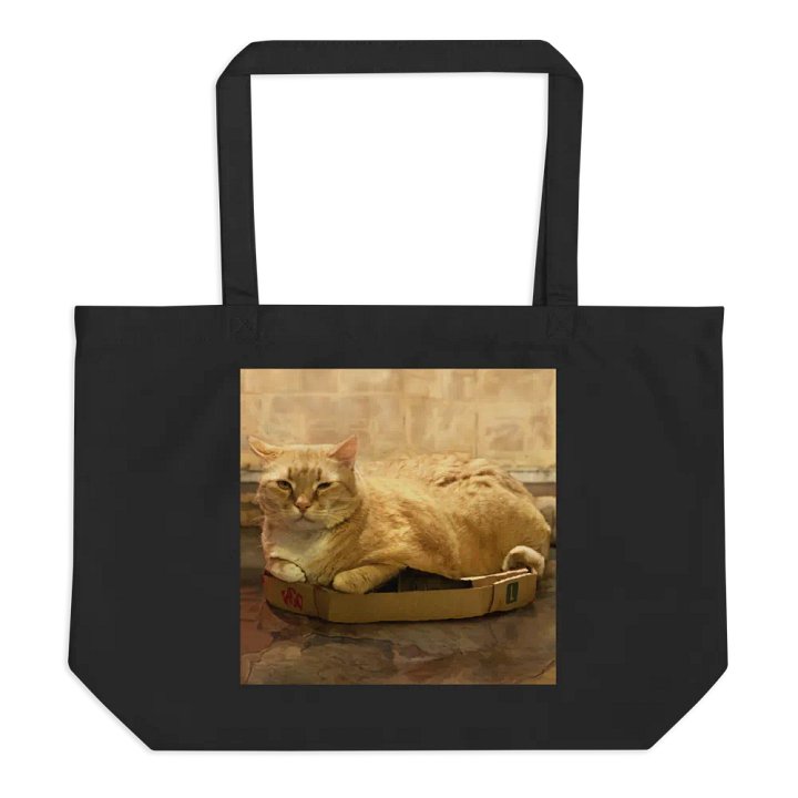Colby on a Box Canvas Bag product image (1)