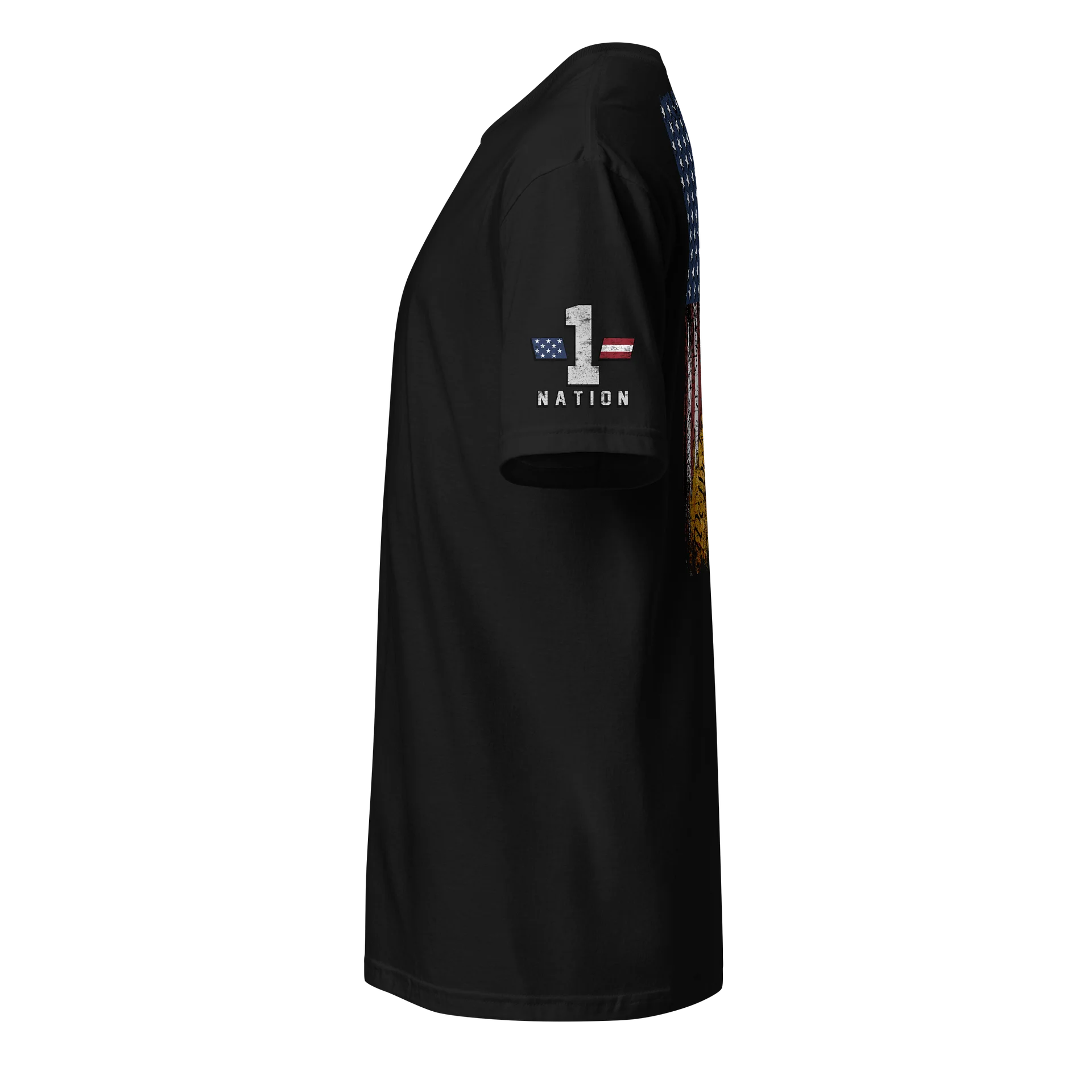Defend the Constitution product image (2)