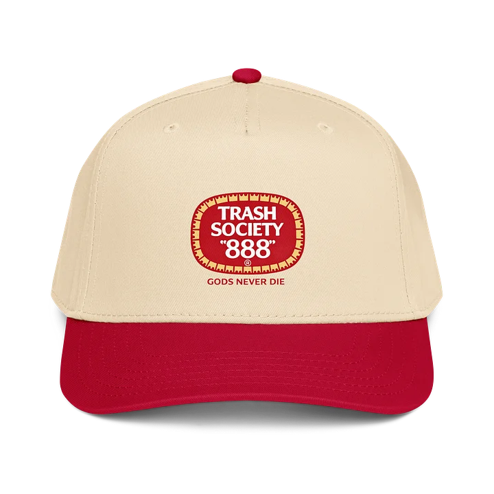 TRASH SOCIETY 888 HAT product image (1)