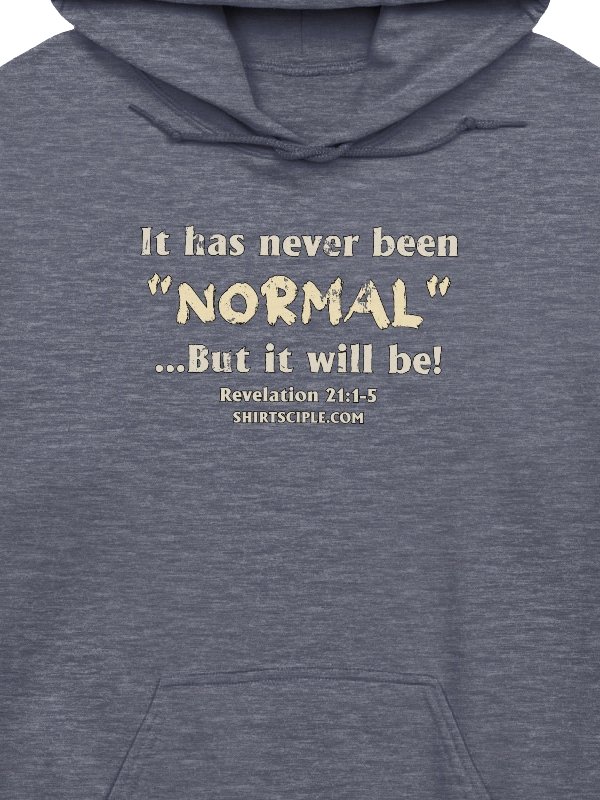 It has never been normal Hoodie product image (2)