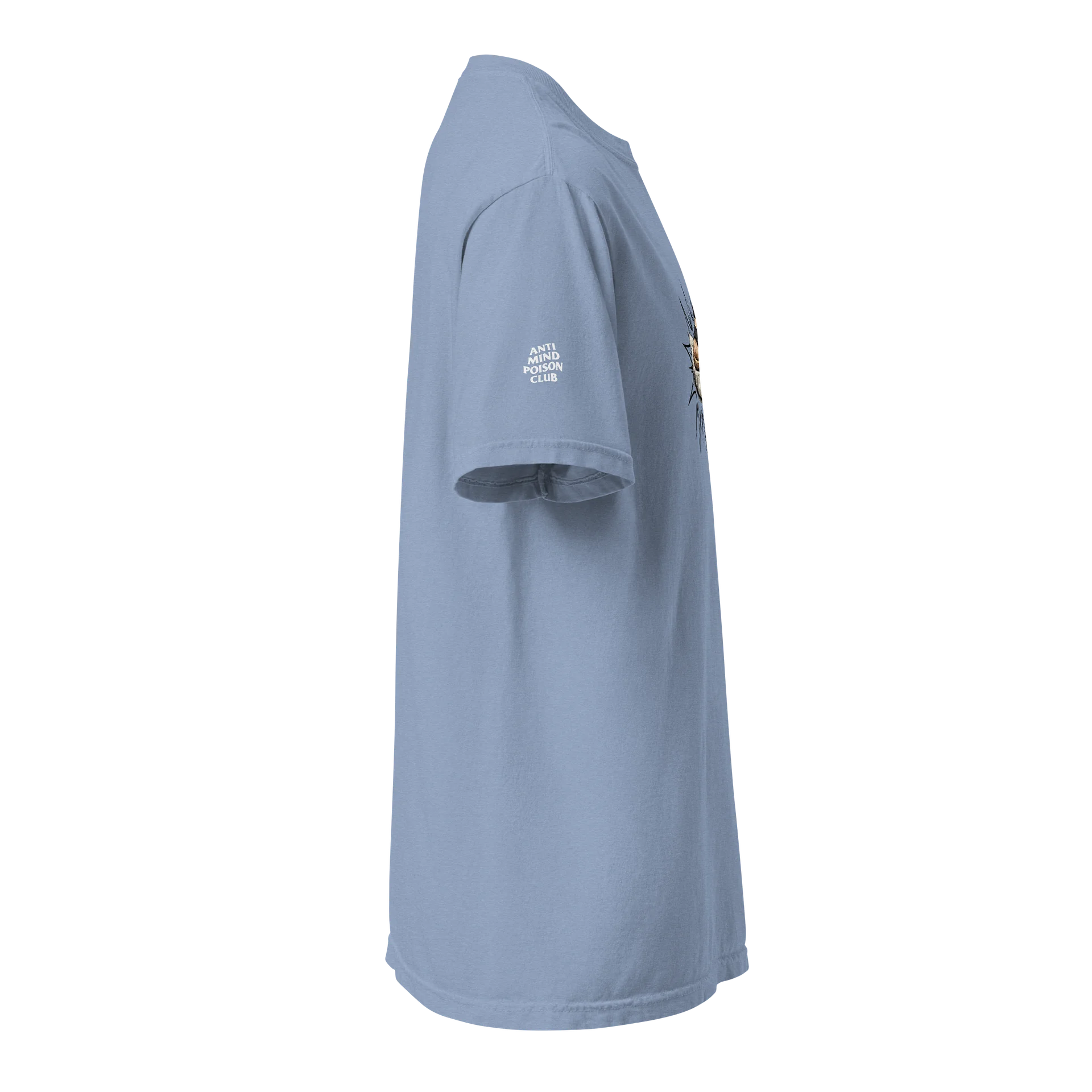 Hood Stomp Heavyweight T - Birk product image (54)