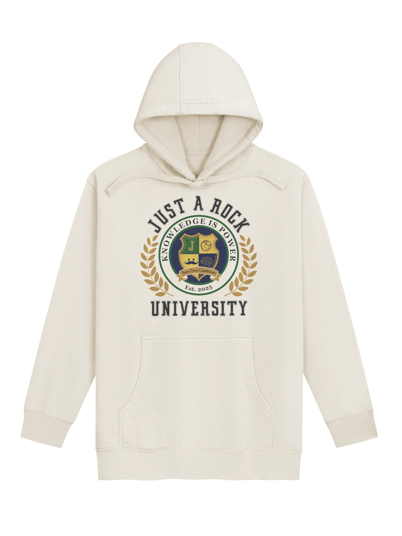 University Hoodie product image (2)