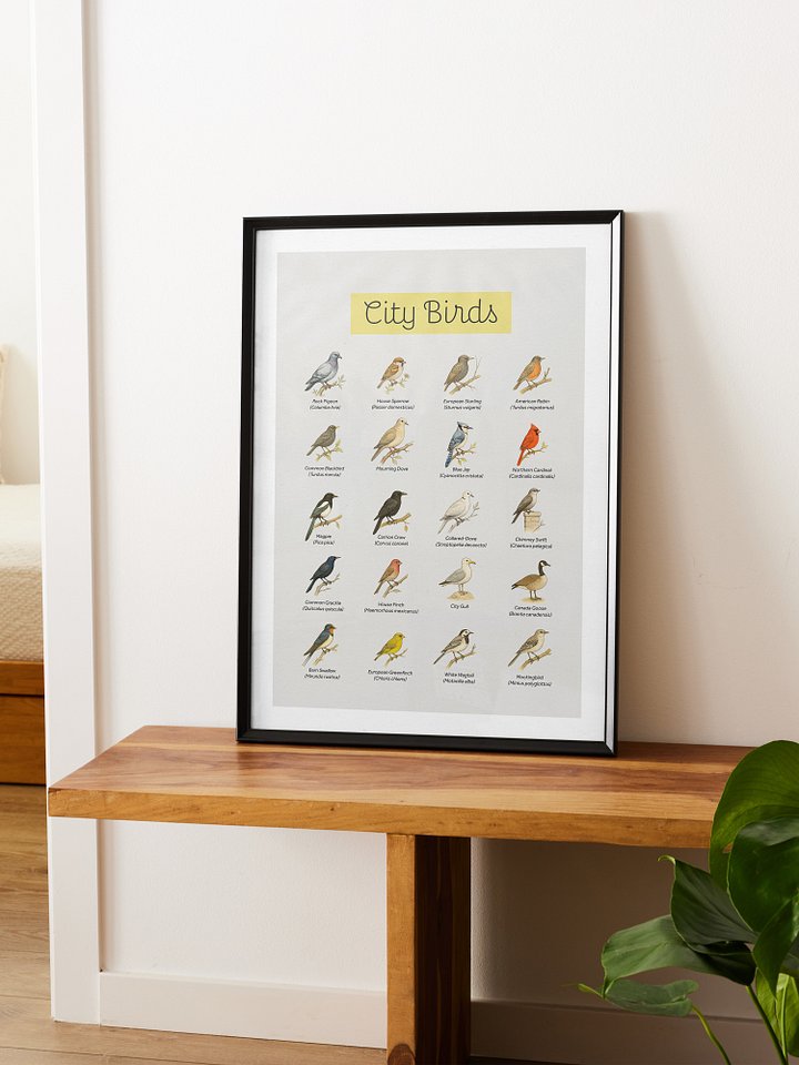 City Birds Framed Art Print product image (1)
