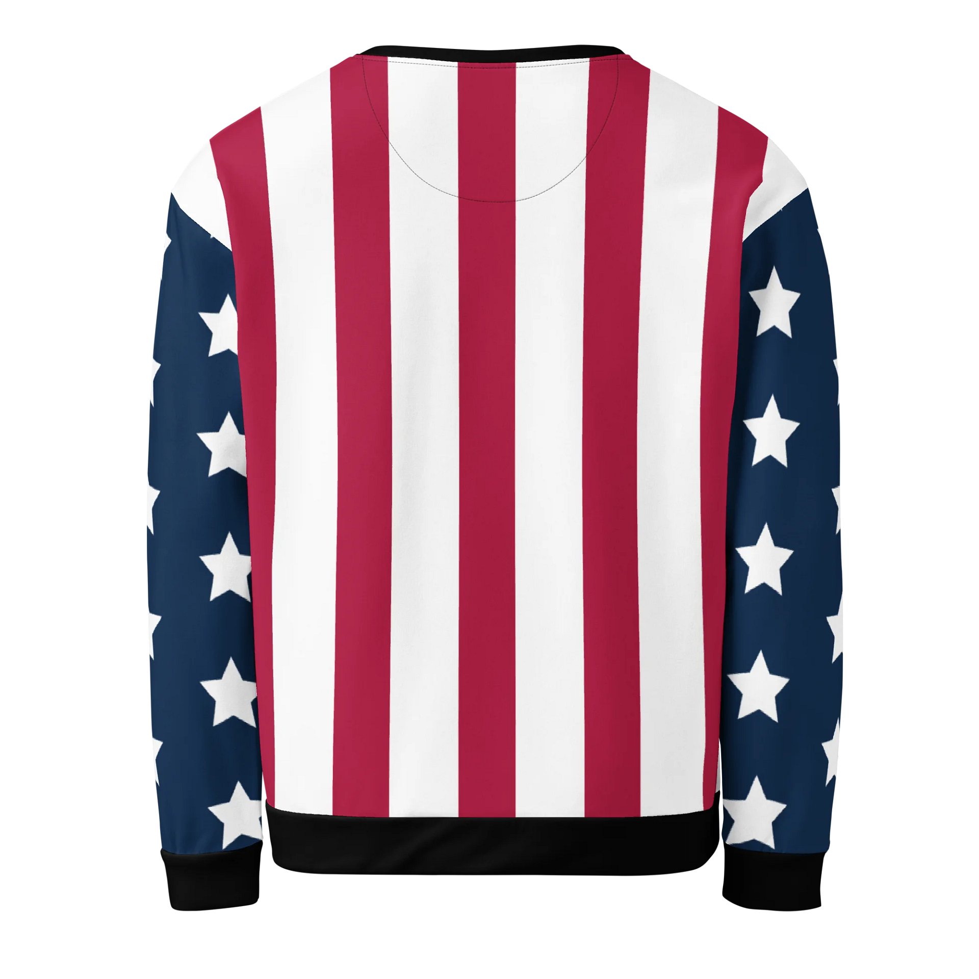 TEAM USA Unisex Sweatshirt product image (2)
