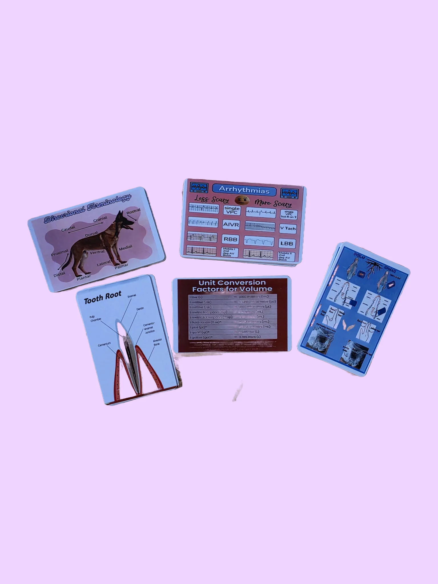 Vet/Vet Tech/Vet Nurse Badge Cheat Sheets product image (3)