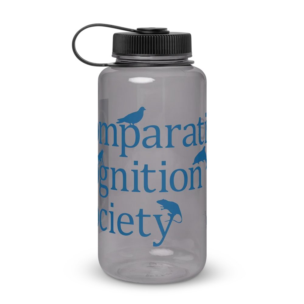 CCS water bottle product image (1)